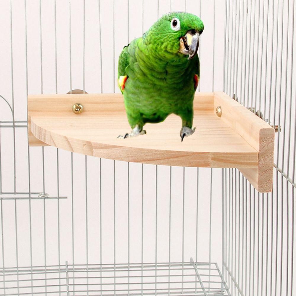 ELLSWORTH Giá Đỡ Đứng Hình Quạt Bằng Gỗ Độc Đáo Trang Trí Lồng Chim Cảnh