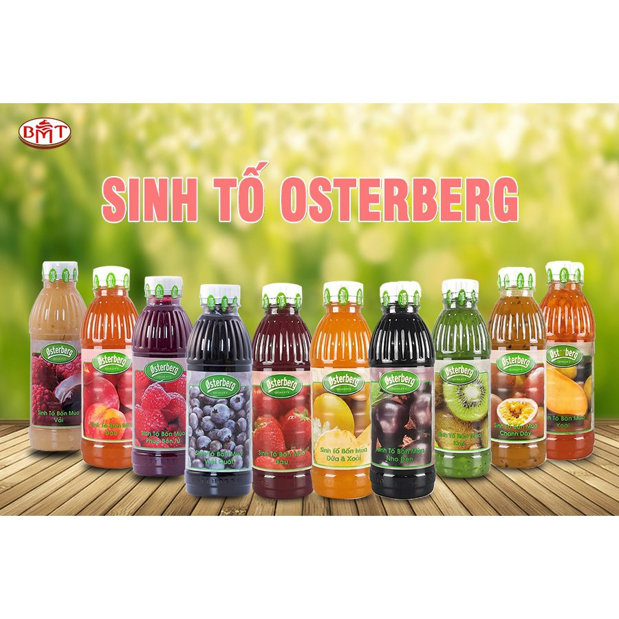 Mứt Sinh Tố Osterberg Kiwi 1 Lít