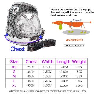Dây Dắt Chó Phản Quang An Toàn Polyester
