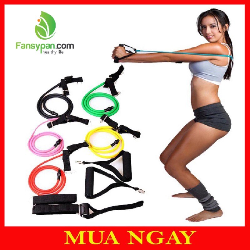 Bộ Dây Ngũ Sắc Kháng Lực Cao Su Đàn Hồi - Tập Gym Thể Hình FULL BODY Tại Nhà