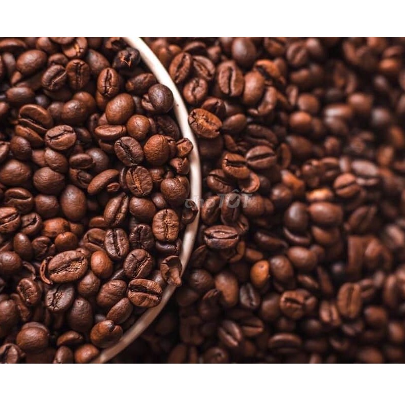 Tinh dầu cà phê (coffee) 50ml nguyên chất Mộc Mây