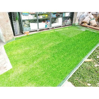 Cỏ nhân tạo 50x50, 50x100
