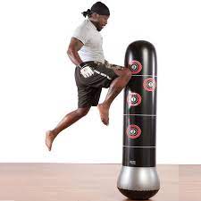 Bao trụ đấm bốc tự cân bằng PURE BOXING 160cm dduownhf kính 48cm tặng kèm bơm hơi