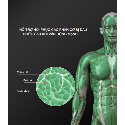 Máy Massage Cầm Tay 6 Đầu 30 Cấp Độ Trị Đau Nhức Toàn Thân Hiệu Quả Máy Massage Cầm Tay Tặng Kèm 6 Đầu