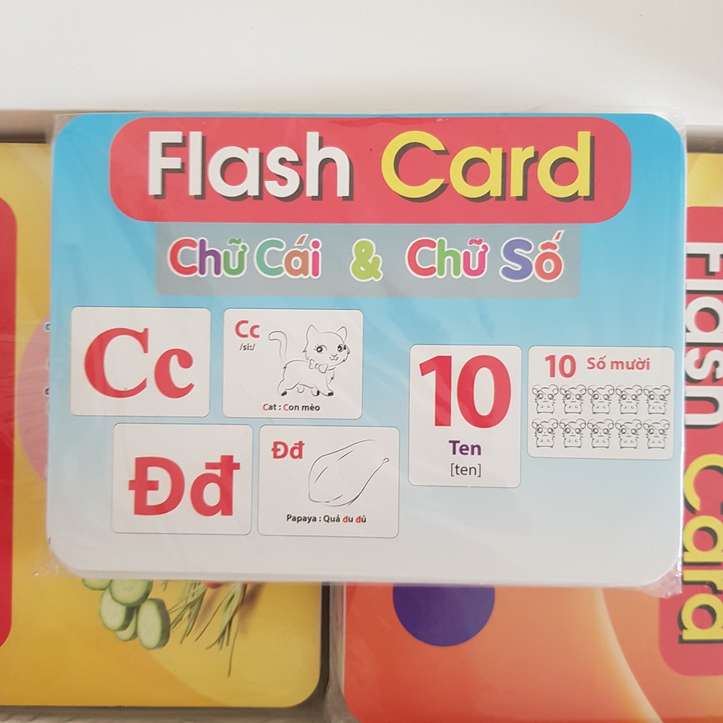 Thẻ học thông minh 19 chủ đề TGXQ mẫu mới nhất 290 thẻ KT 12x16cm