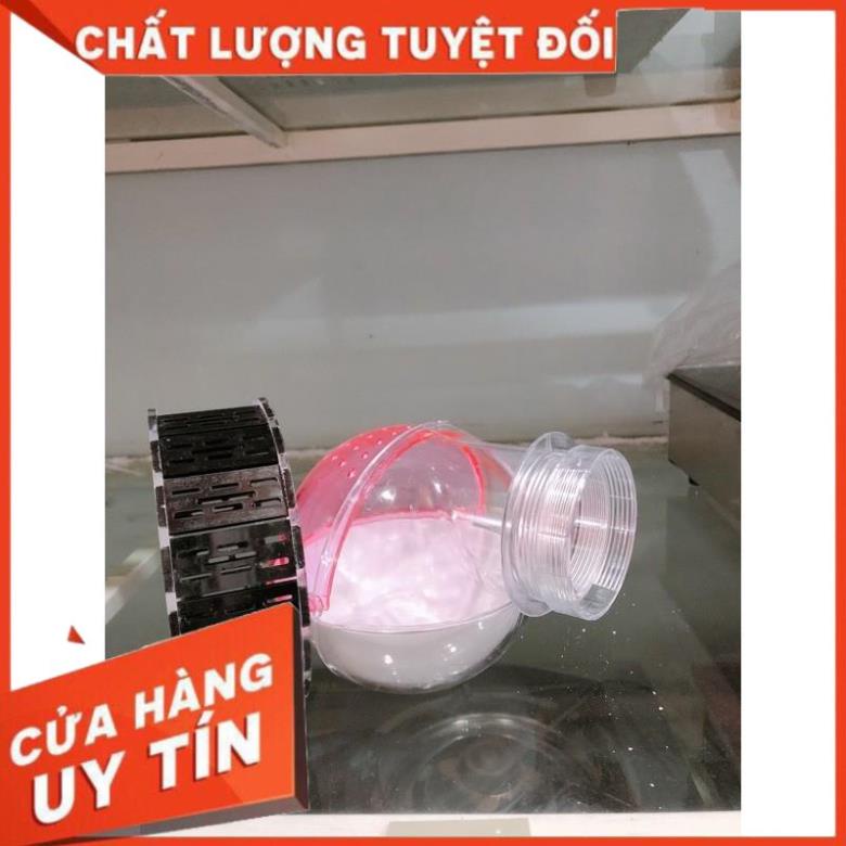 Combo nhà tắm hamster và wheel