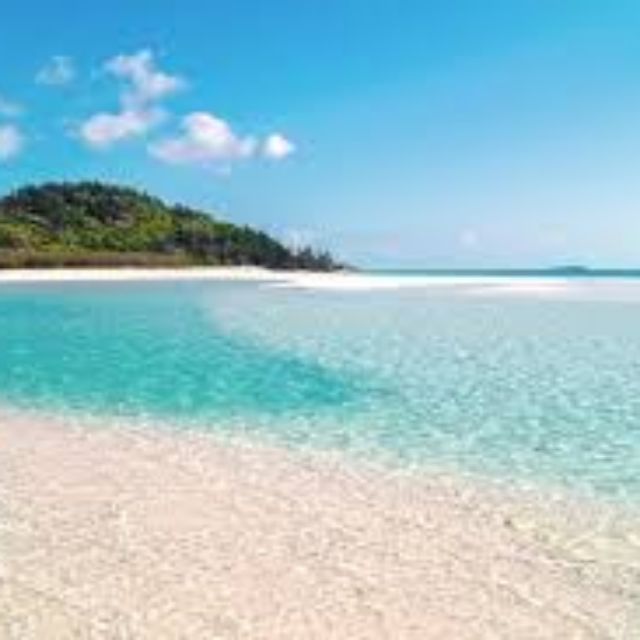 Thủy sinh bảy màu