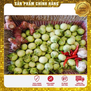 Hạt giống Cà Pháo Xanh 2gram