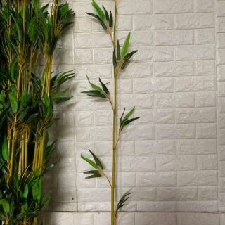 Cây trúc giả