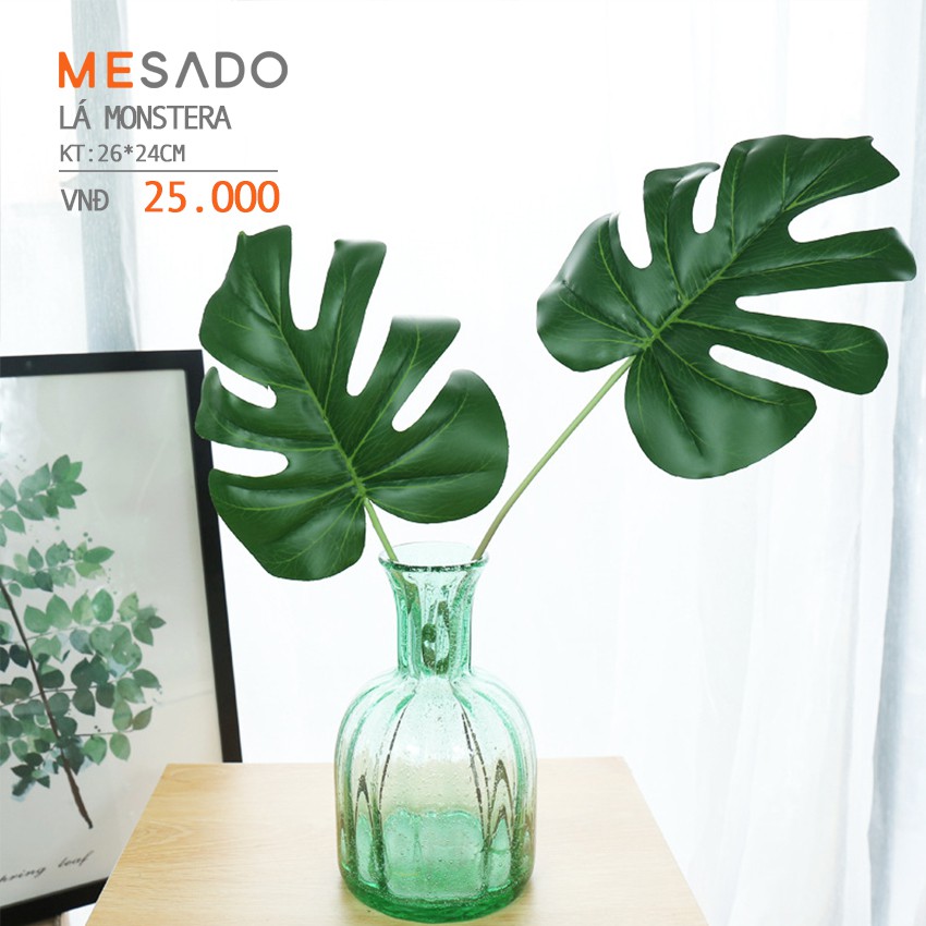 LÁ MONSTERA TRANG TRÍ PHONG CÁCH BẮC ÂU