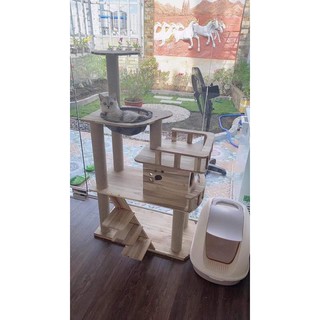 Cây cho mèo cattree size to