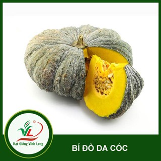 Hạt giống Bí đỏ da cóc RD 565 - 5 hạt