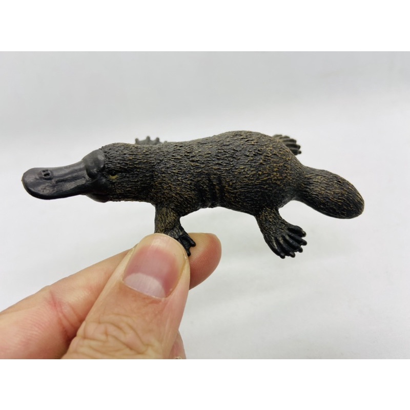Mô hình động vật , đồ chơi con vật Schleich chính hãng Thú mỏ vịt 14840  - Schleich House