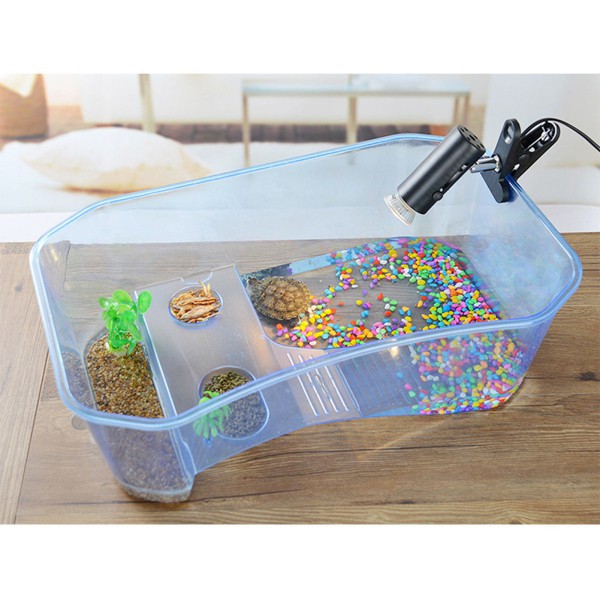 Hộp nuôi rùa bằng nhựa kích thước 40x23x13cm