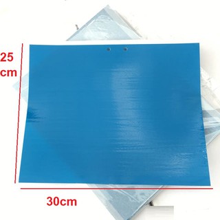 Set 30 miếng bẫy côn trùng màu xanh đặc biệt hiệu quả với bọ trĩ 30cmx25cm