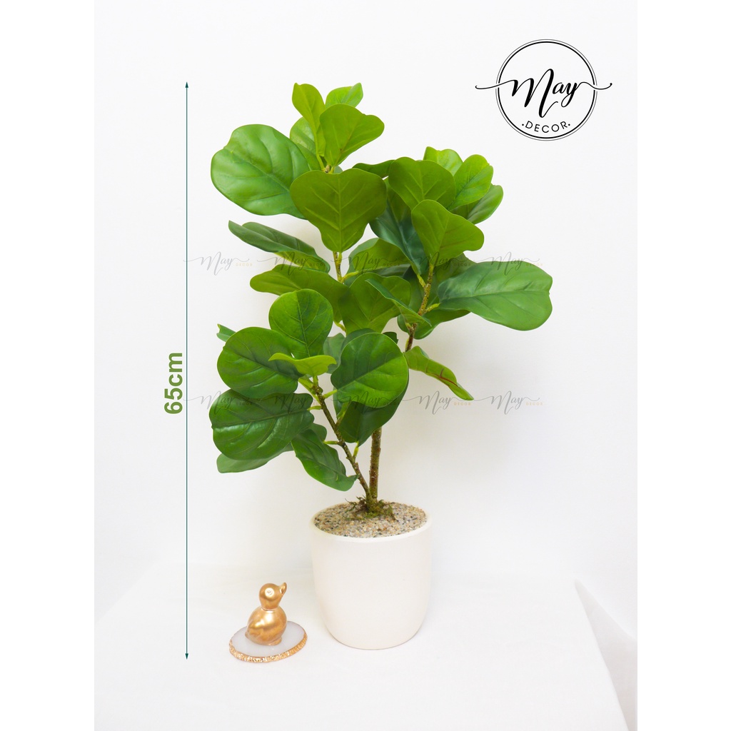 Cây giả, Set chậu bàng Singapore giả cao 1m, 75cm,65cm