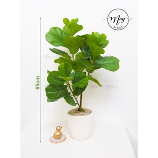 Chậu cây bàng non Singapore giả loại cao cấp giống thật cây cao 65cm