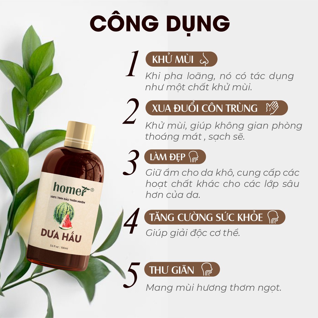 Tinh dầu Dưa hấu Homer 20ml/100ml giá dùng thử - Watermelon Essential Oil  - đạt chuẩn chất lượng kiểm định