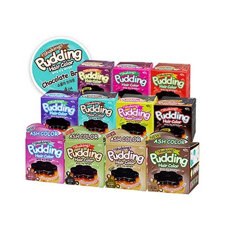 Nhuộm tóc EZN Shaking Pudding Hair Color