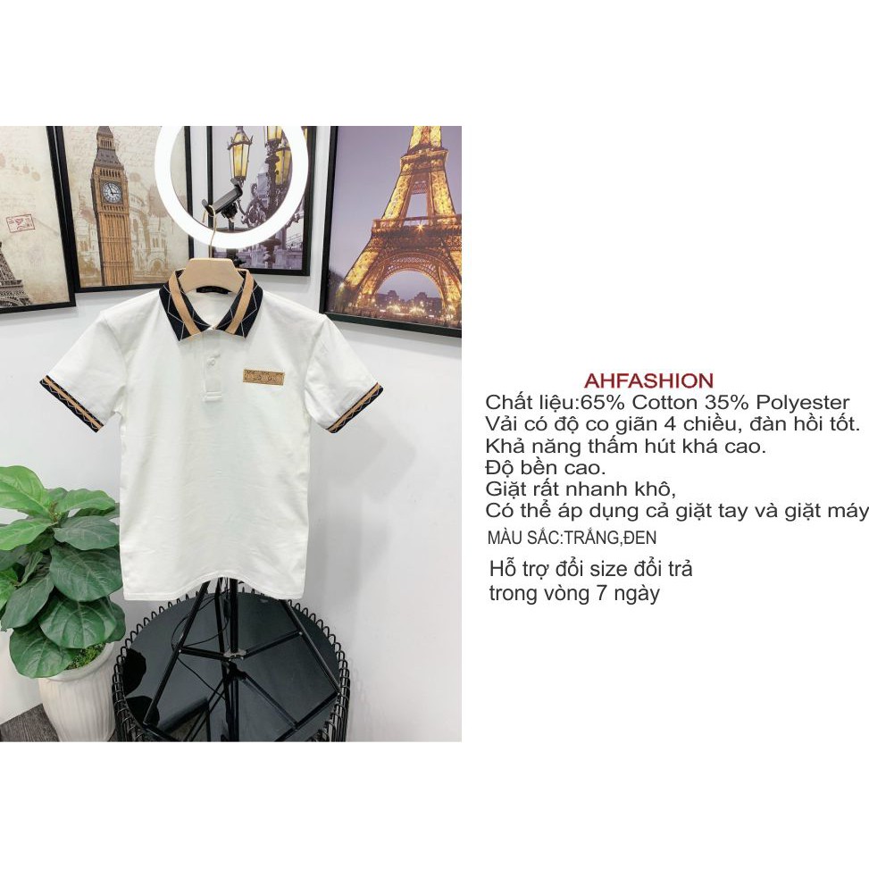 Áo thun nam tay ngắn có cổ polo siêu cấp giá rẻ phối họa tiết sang trọng vải đẹp co dãn 4 chiều cao cấp | BigBuy360 - bigbuy360.vn
