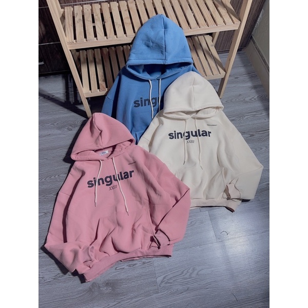 Áo nỉ hoodies mũ 2 lớp in chữ hàng đẹp