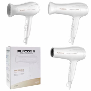 C076 Máy sấy tóc i-on FLYCO 2000W