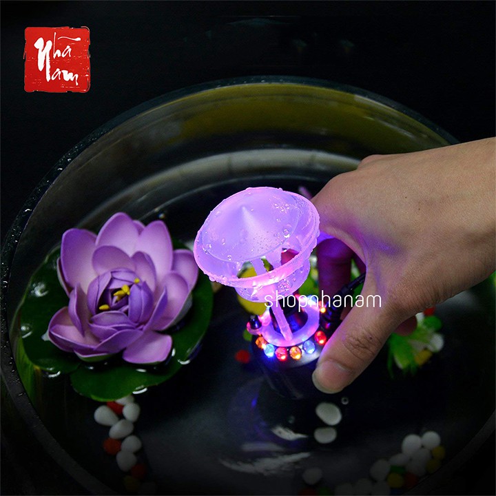 Máy phun sương bể cá Máy tạo khói có đèn đổi màu dùng cho thác nước phong thủy