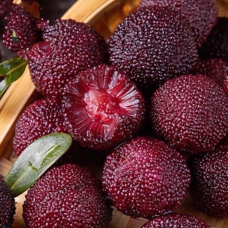 Ô Mai Thanh Mai Mẫu Mới Gói 300gr