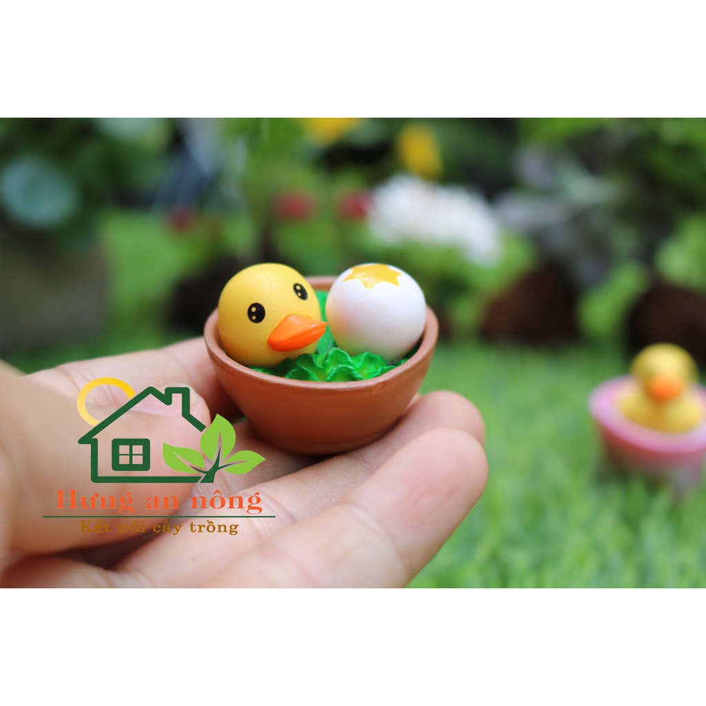 TT89 - Mô hình VỊT TRONG XÔ trang trí tiểu cảnh sen đá xương rồng cây để bàn