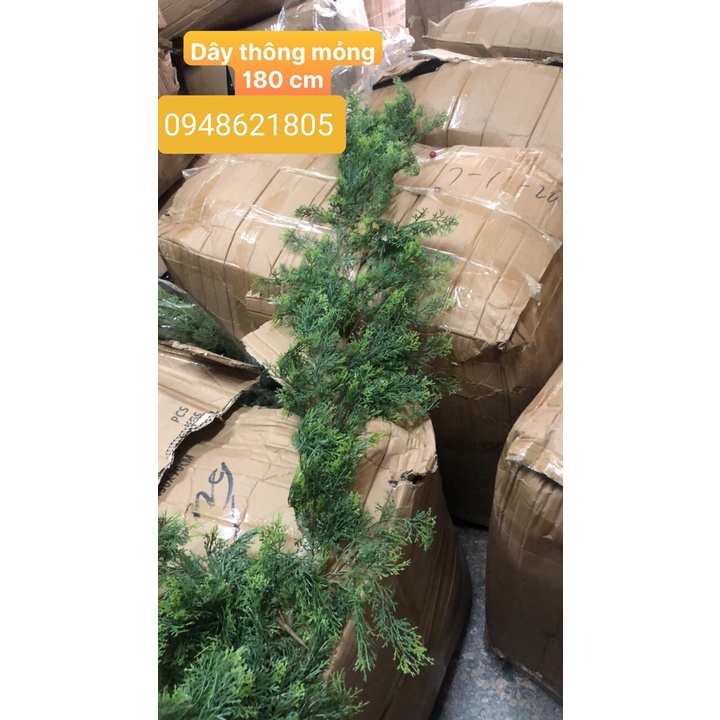 Dây lá thông trang trí noel
