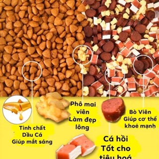 HẠT trộn PHÔ MAI, BÒ, CÁ HỒI cho chó (HẠT CAPTAIN) 2kg5