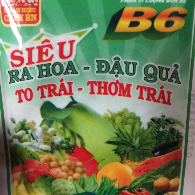 Siêu kích hoa B6