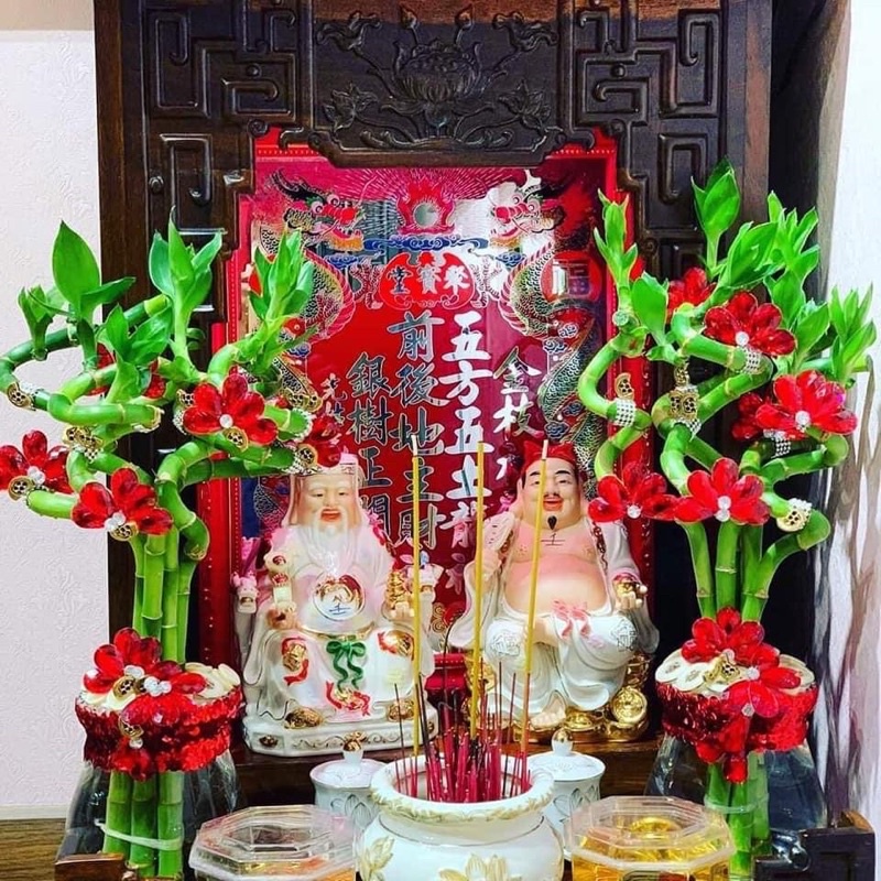 Combo 5 cành Phát lộc xoắn