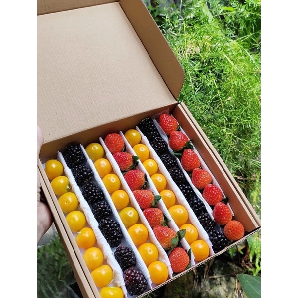 Dâu Nhật Sky -Phúc Bồn Tử và Thù Lù Nam Mỹ 🍓