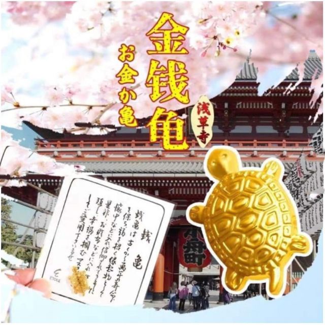 Rùa Vàng May Mắn Để Trong Ví Tiền Thu Hút Tài Lộc | BigBuy360 - bigbuy360.vn