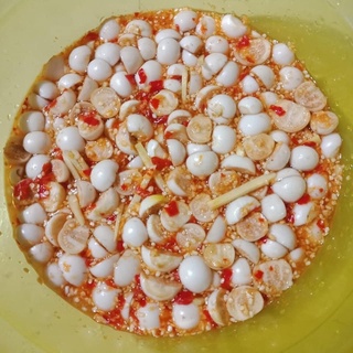 Cà dầm chua ngọt , kim chi cà pháo ( hũ 1kg)
