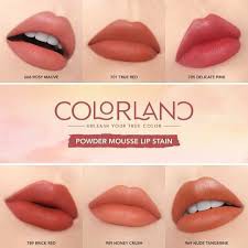 (hàng Mới Về) Son Môi Colorland Lên Màu Chuẩn Đẹp | BigBuy360 - bigbuy360.vn