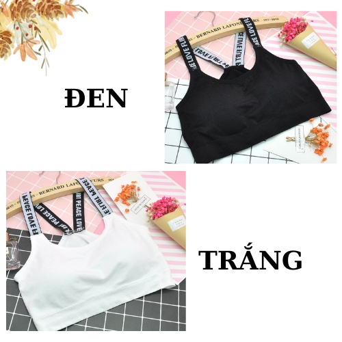 Áo Bra Nữ Thể Thao - Bra Tập Gym Cotton Co Dãn - Áo Ngực Mút Mỏng  AMY BRA B1102