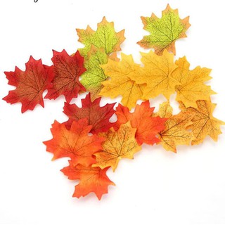 Set 10 lá phong đủ màu phụ kiện chụp ảnh