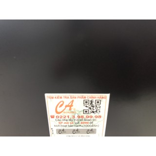 Loa sub CA Sound SW-12