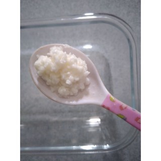 Nấm sữa kefir