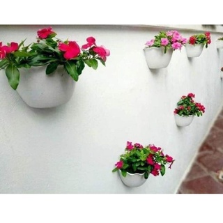 Chậu Treo Tường Bán Nguyệt KT 24cm x15cm x14cm, Chậu Nhựa Ốp Tường Treo Tường Decor Giàn Hoa Siêu Xinh