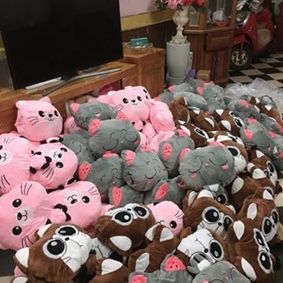 (Bỏ Sỉ) 20 Chăn Gối Gấu 3in1