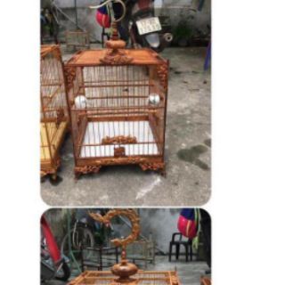 Nước tẩy mốc lồng chim Báu Lê