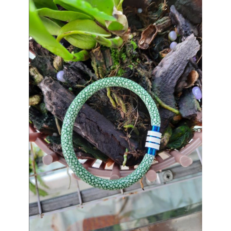 Vòng tay cá đuối