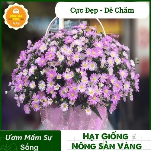 [HCM] Hạt giống Hoa Dễ Trồng, Nhiều Màu, Tỷ Lệ Nảy Mầm Cao, Trồng Được Quanh Năm - Nông Sản Vàng