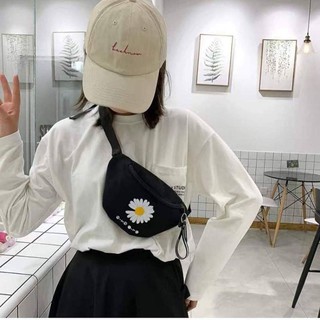Túi bào tử nhỏ