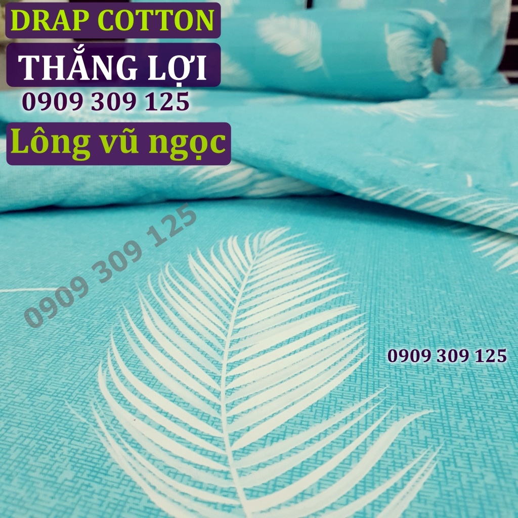 (RẺ VÔ ĐỊCH) bộ drap cotton Thắng lợi 100% cao cấp LÔNG VŨ NGỌC | BigBuy360 - bigbuy360.vn