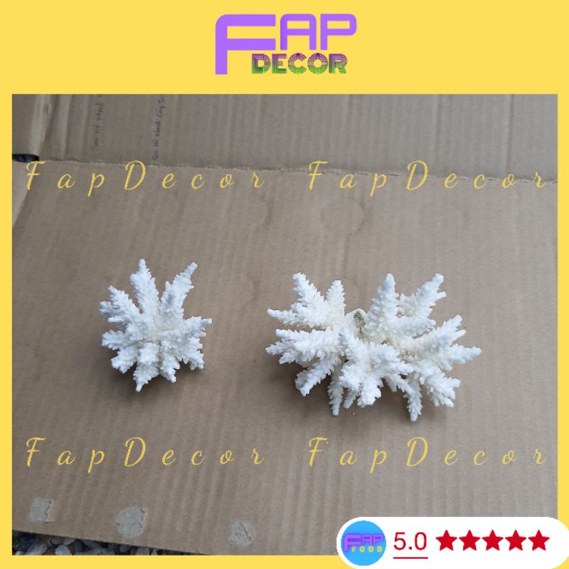 Bông Rạn Biển Mini Siêu Cute Hàng Đẹp Giá Rẻ, San Hô Mini Trang Trí Nhà Cửa Setup Thủy Sinh - FapFood