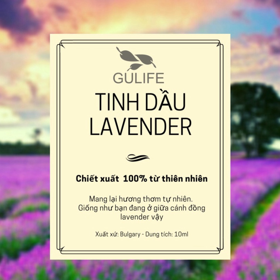 ✅ [Chính Hãng] Tinh dầu Lavender GULIFE Chiết Xuất Hoàn Toàn Từ Thiên Nhiên - Làm Thơm Phòng &amp; Hương Ấn Tượng